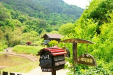 양이터마을 - 주변 여행 및 근처 관광 명소 - 국내 여행 정보와 관광 명소 정보