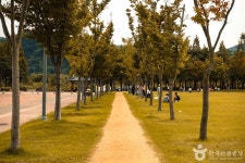 율하체육공원 관광 정보와 주변 관광 명소 및 근처 맛집 여행 정보