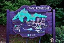 수레의산자연휴양림 관광 정보와 주변 관광 명소 및 근처 맛집 여행 정보