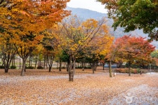 월악오토캠핑장 레저스포츠 정보와 주변 관광 명소 및 근처 맛집 여행 정보