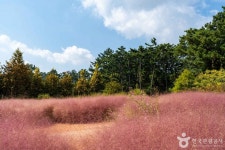 청산수목원 관광 정보와 주변 관광 명소 및 근처 맛집 여행 정보