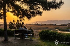 다대포해수욕장 관광 정보와 주변 관광 명소 및 근처 맛집 여행 정보