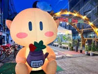 내인생의 한방축제 최신 축제 공연 행사 정보와 주변 관광 명소 및 근처 맛집 여행 정보