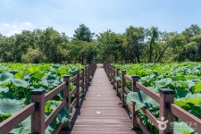 경안천 습지생태공원 관광 정보와 주변 관광 명소 및 근처 맛집 여행 정보
