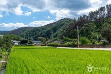 청송 덕천마을 관광 정보와 주변 관광 명소 및 근처 맛집 여행 정보