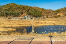 섬강(섬강유원지) 관광 정보와 주변 관광 명소 및 근처 맛집 여행 정보