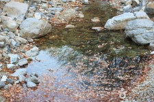 内院寺渓谷（내원사계곡） - 観光 - 韓国旅行・観光情報