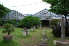 산, 노자산 - 캠프위크
