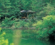 万仞山自然休養林（만인산 자연휴양림） - 観光 - 韓国旅行・観光情報