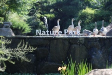 리조트 스파밸리 네이처파크 | NOL 인터파크투어 프리야 여행정보 [대한민국>대구광역시 달성군] 여기 가고싶어요! [리조트 스파밸리... 