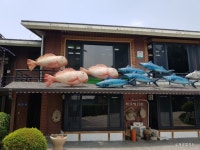 송트리타임콜라주 - 주변 여행 및 근처 관광 명소 - 국내 여행 정보와 관광 명소 정보