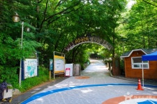 서울대공원 장미원 축제 - 주변 여행 및 근처 관광 명소 - 국내 여행 정보와 관광 명소 정보