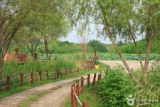 하동농원 관광 정보와 주변 관광 명소 및 근처 맛집 여행 정보