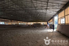 이후국제승마클럽 레저스포츠 정보와 주변 관광 명소 및 근처 맛집 여행 정보