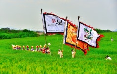 Gochang Green Barley Field Festival (고창청보리밭 축제) - Festivals - Korea travel and tourism information