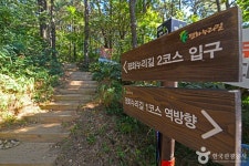 평화누리길 2코스 조강철책길 레저스포츠 정보와 주변 관광 명소 및 근처 맛집 여행 정보