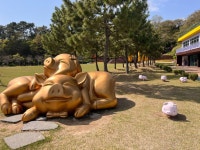 돝섬(창원) 관광 정보와 주변 관광 명소 및 근처 맛집 여행 정보