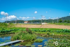 금호재 - 주변 여행 및 근처 관광 명소 - 국내 여행 정보와 관광 명소 정보