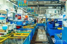 민락어민활어직판장 쇼핑 정보와 주변 관광 명소 및 근처 맛집 여행 정보