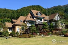 경기도뉴스포털_사회_view(text_관련기사)