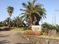 제주 써니데이 숙박 정보와 주변 관광 명소 및 근처 맛집 여행 정보
