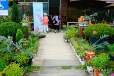 Ilyeong Herbland (일영허브랜드) - Sightseeing - Korea travel and tourism information