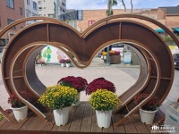 장안문거북시장 쇼핑 정보와 주변 관광 명소 및 근처 맛집 여행 정보