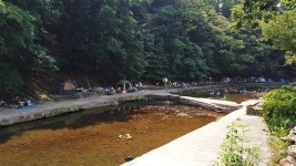 파주 문산장 (4, 9일) - 주변 여행 및 근처 관광 명소 - 국내 여행 정보와 관광 명소 정보