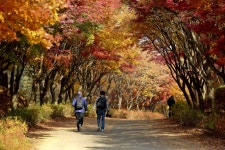 아우내 장터에 울려퍼진 역사의 길 - 주변 여행 및 근처 관광 명소 - 국내 여행 정보와 관광 명소 정보