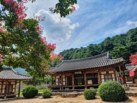 중산자연휴양림 - 여행정보 |