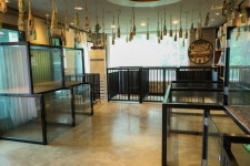 카페루아 음식점 정보와 주변 관광 명소 및 근처 맛집 여행 정보