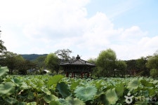 보현갈비식당 - 주변 여행 및 근처 관광 명소 - 국내 여행 정보와 관광 명소 정보