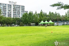 대가미체육공원 관광 정보와 주변 관광 명소 및 근처 맛집 여행 정보