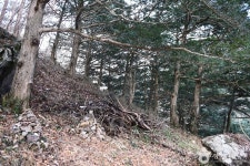 운주사 - 주변 여행 및 근처 관광 명소 - 국내 여행 정보와 관광 명소 정보