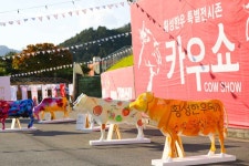 Hoengseong Hanu Festival (횡성한우축제) - Festivals - Korea travel and tourism information