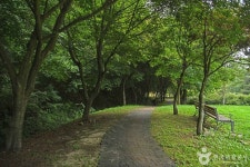 용두산 산림욕장 관광 정보와 주변 관광 명소 및 근처 맛집 여행 정보