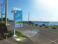 하얀언덕 숙박 정보와 주변 관광 명소 및 근처 맛집 여행 정보