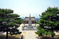 축서사(봉화) 관광 정보와 주변 관광 명소 및 근처 맛집 여행 정보