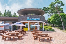 플라잉 수원 레저스포츠 정보와 주변 관광 명소 및 근처 맛집 여행 정보
