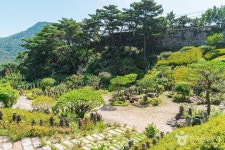 목인박물관 목석원 문화 정보와 주변 관광 명소 및 근처 맛집 여행 정보