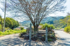 동촌마을 관광 정보와 주변 관광 명소 및 근처 맛집 여행 정보