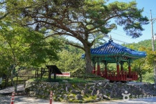 육모정 관광 정보와 주변 관광 명소 및 근처 맛집 여행 정보