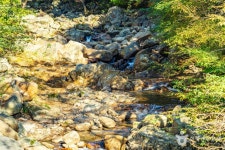 구례장죽전녹차시배지 - 주변 여행 및 근처 관광 명소 - 국내 여행 정보와 관광 명소 정보