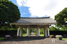 Haenyeo Hoetjip (해녀횟집) - Restaurant - Voyage Corée et information touristique