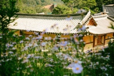 우둠지 관광 정보와 주변 관광 명소 및 근처 맛집 여행 정보