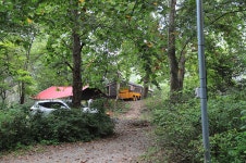 평화강변수목캠핑장 레저스포츠 정보와 주변 관광 명소 및 근처 맛집 여행 정보