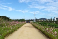 고구려숯불갈비 - 주변 여행 및 근처 관광 명소 - 국내 여행 정보와 관광 명소 정보