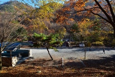 금산산림문화타운 관광 정보와 주변 관광 명소 및 근처 맛집 여행 정보