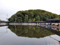 비바낚시터 레저스포츠 정보와 주변 관광 명소 및 근처 맛집 여행 정보