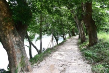 화순동복연둔리숲정이 관광 정보와 주변 관광 명소 및 근처 맛집 여행 정보